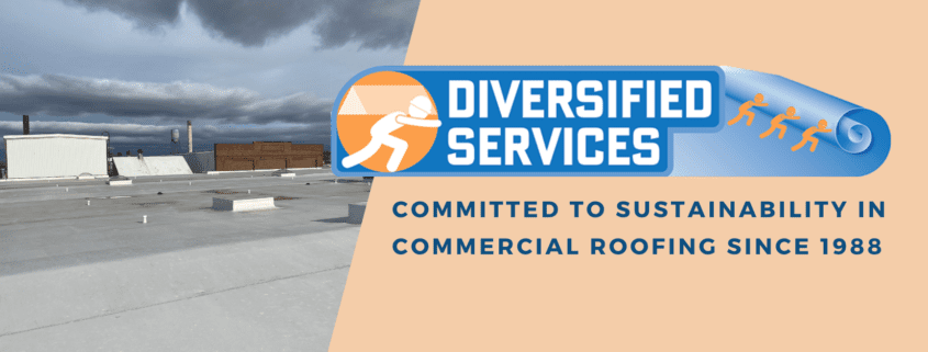 The Diversified Services Commitment to Sustainability in Commercial Roofing Blog Cover