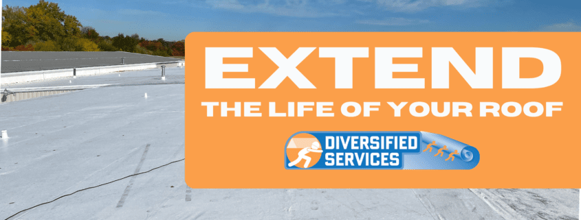 Extend the Life of Your Roof Blog Cover