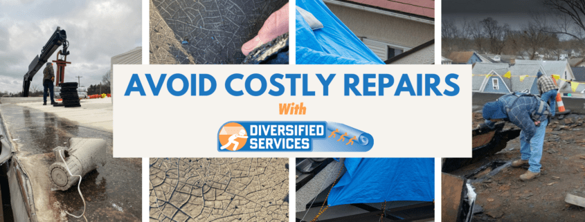 Avoiding Costly Repairs: Preventative Maintenance for Your Commercial Roof Blog Cover